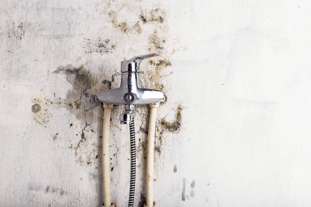 Best Residential Mold Remediation in Aurora, NE