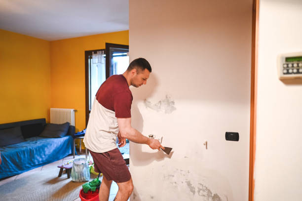 Best Localized Mold Remediation (e.g., coastal areas, humid climates) in Aurora, NE
